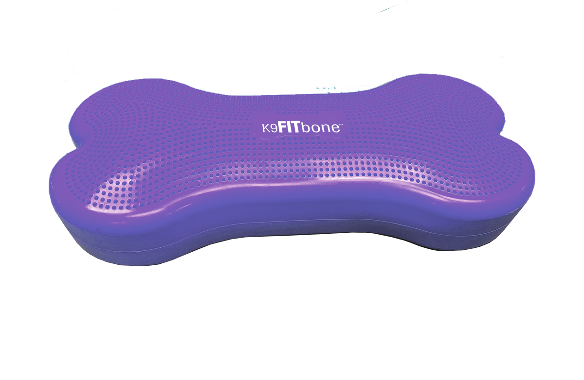 K9FITbone -58 x 29 x 10 cm, Purple